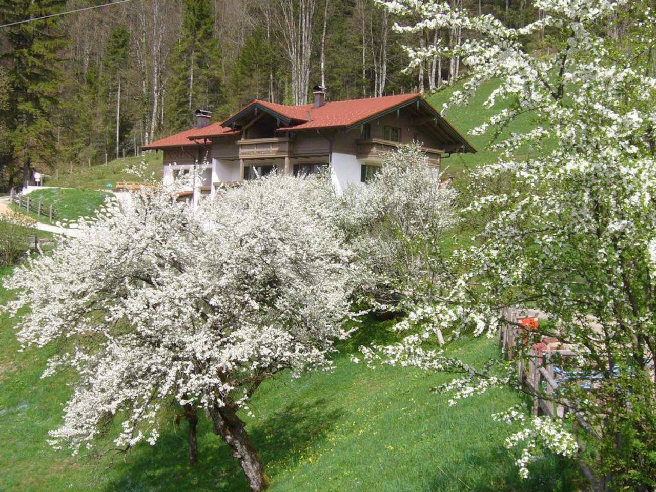 Haus Eicher Schneizlreuth Esterno foto
